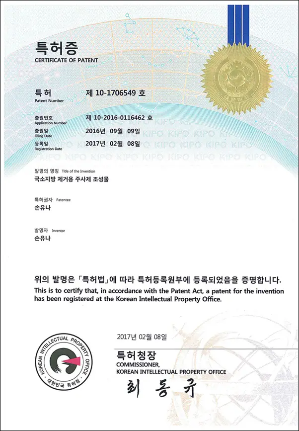 Korean patent certificate No. 10-1706549, Dr. Youna Son